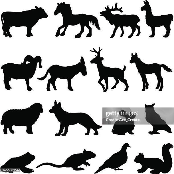 country farm tiere silhouetten - ram stock-grafiken, -clipart, -cartoons und -symbole