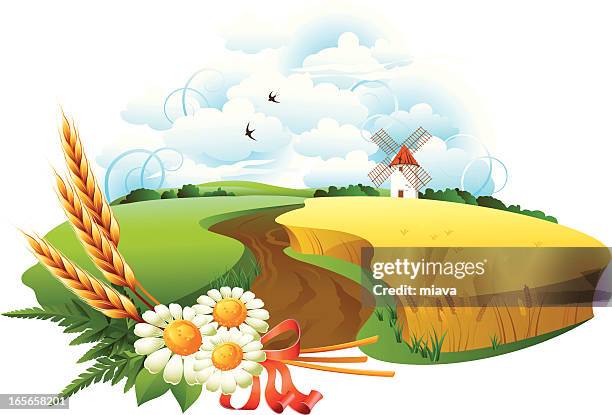 wheat field and sky - cornfield stock illustrations