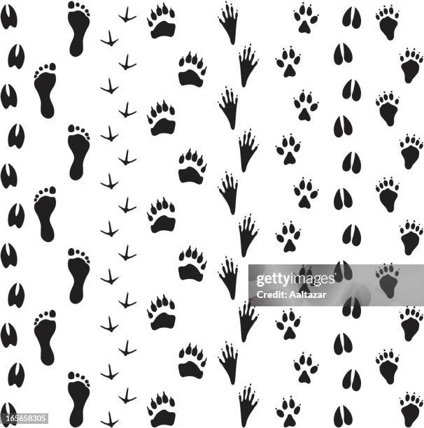 ilustraciones, imágenes clip art, dibujos animados e iconos de stock de negro siluetas de animales de pistas - impronta-de-animal