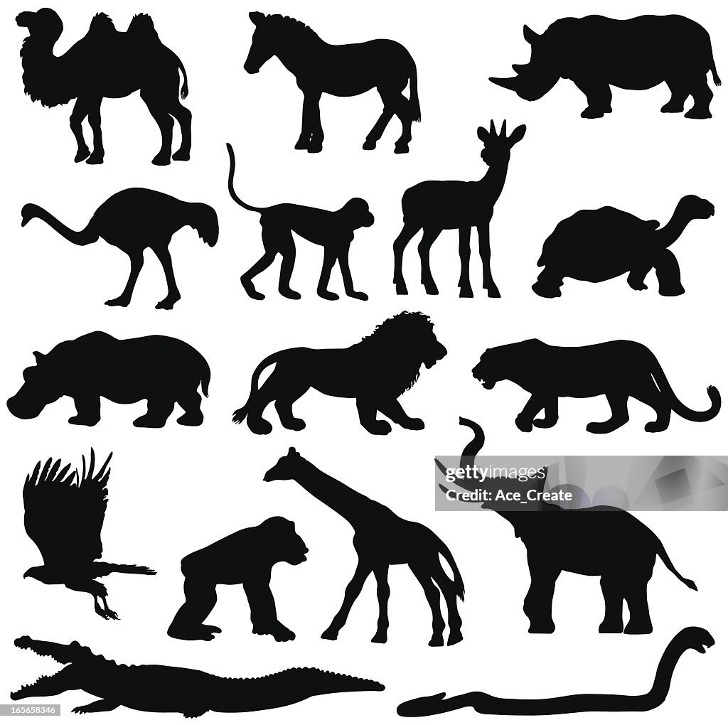 African animals silhouette collection