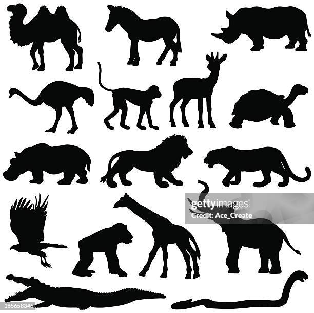 african animals silhouette collection - crocodile 幅插畫檔、美工圖案、卡通及圖標