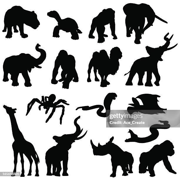 stockillustraties, clipart, cartoons en iconen met african animals in silhouette - chimpanzee teeth