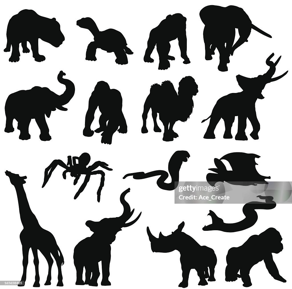 African Animals In Silhouette High-Res Vector Graphic - Getty Images