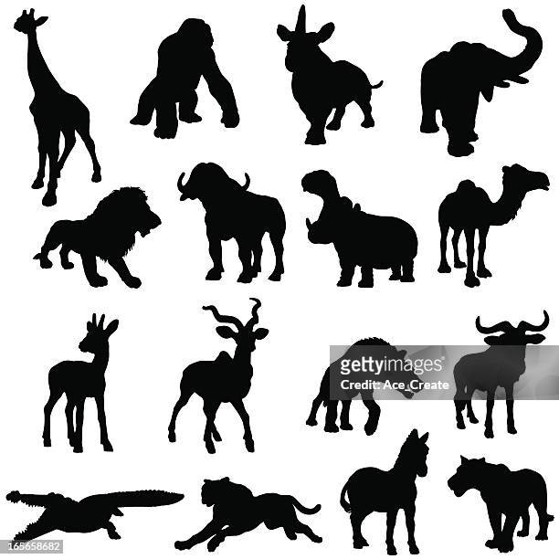 ilustraciones, imágenes clip art, dibujos animados e iconos de stock de colección de silueta de animales africanos - hipopótamo