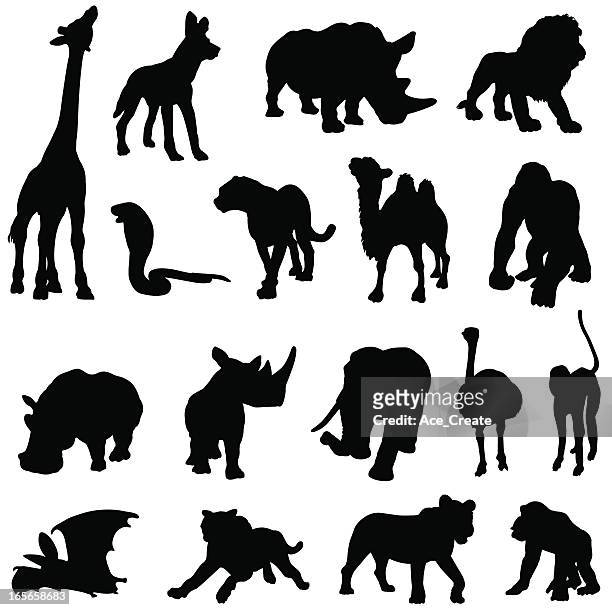 illustrations, cliparts, dessins animés et icônes de silhouette collection d'animaux africains - lycaon