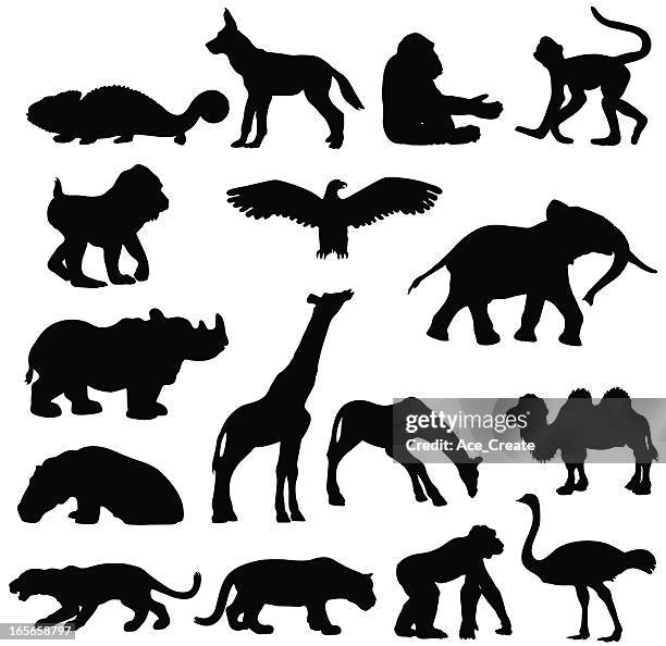 ilustraciones, imágenes clip art, dibujos animados e iconos de stock de colección de silueta de animales africanos - mandrill