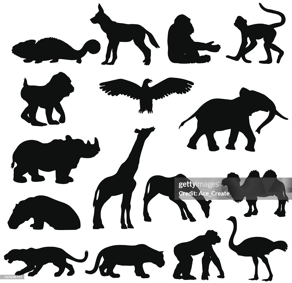 African Animals Silhouette Collection High-Res Vector Graphic - Getty Images