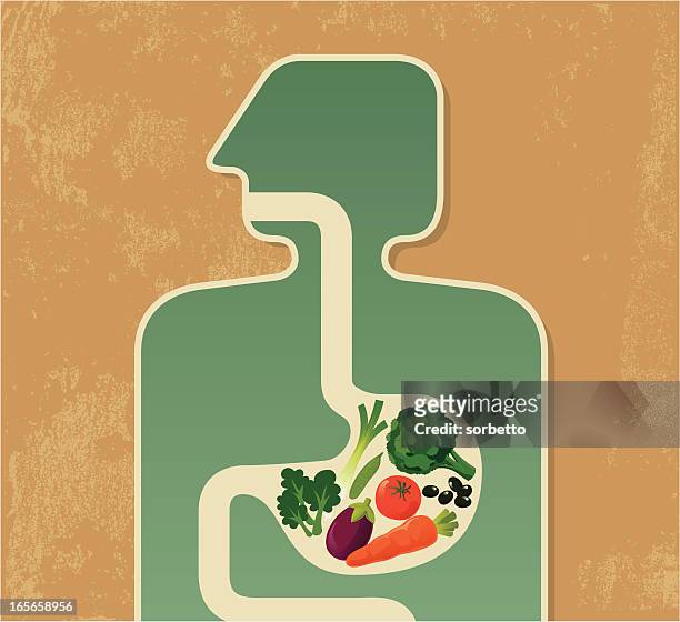 vegetarische speisen - stomach stock-grafiken, -clipart, -cartoons und -symbole