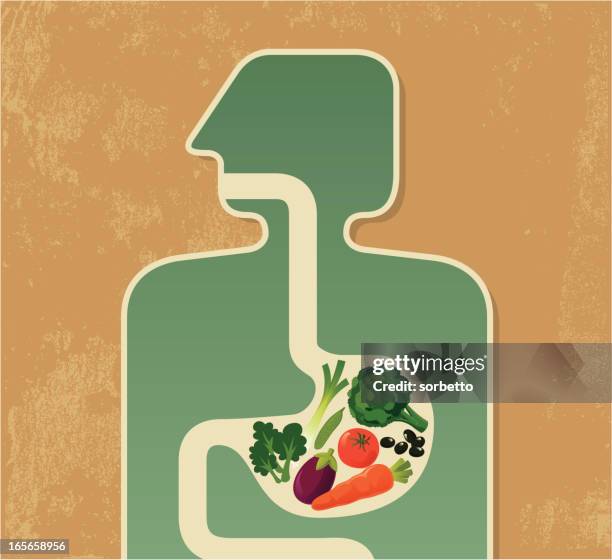 illustration of a human digesting fruits and vegetables - bowel stock illustrations