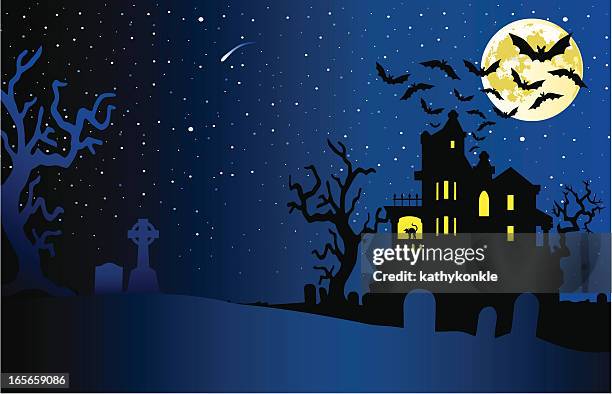 haunted huuse - cat outside stock illustrations