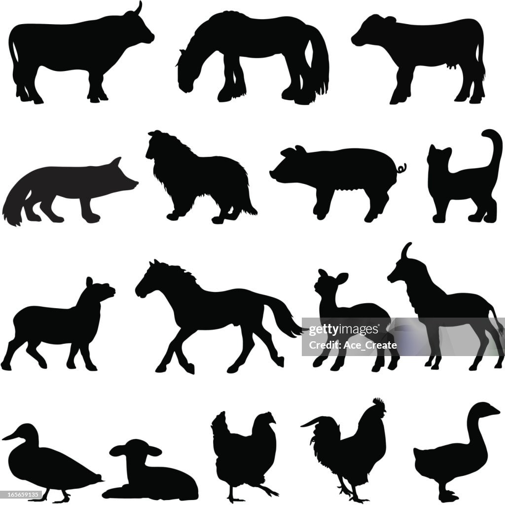 Farm animal silhouette profiles