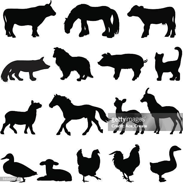 stockillustraties, clipart, cartoons en iconen met farm animal silhouette profiles - pig and dog in a farm
