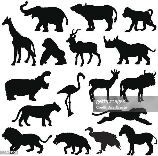 afrikanische tiere silhouette profile - streifengnu stock-grafiken, -clipart, -cartoons und -symbole