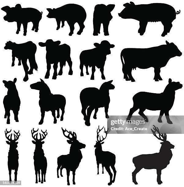 pigs, cows, sheep and deer silhouettes - doe foot stock illustrations