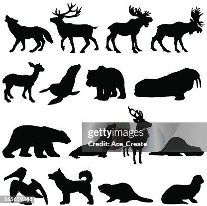 601点のヘラジカイラスト素材 Getty Images 601点のヘラジカイラスト素材 Getty Images