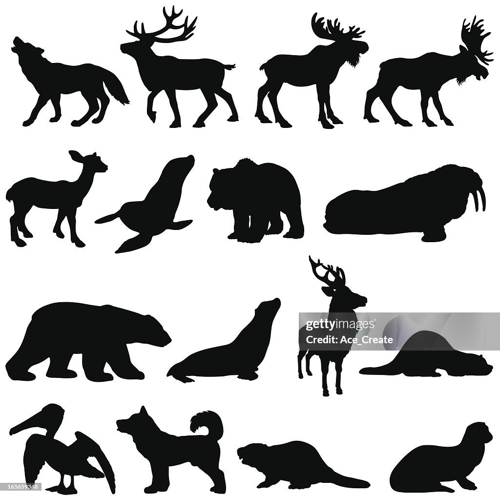 North American animals silhouette set 2
