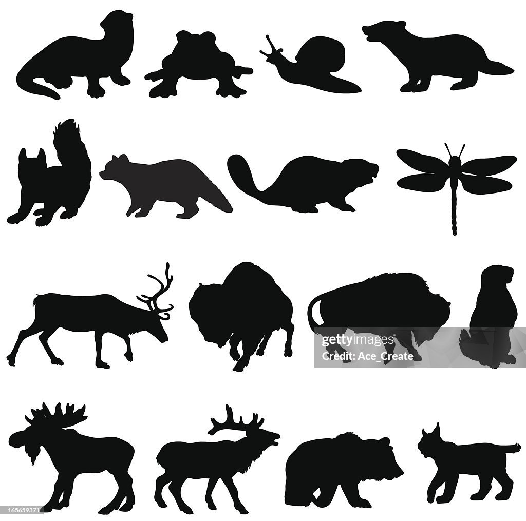 North American Tiere silhouette Kollektion