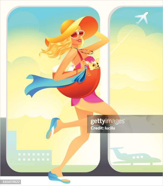 airport rush - small airplane stock illustrations