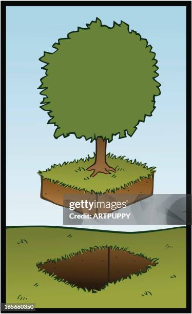 missing tree - tree removal stock illustrations
