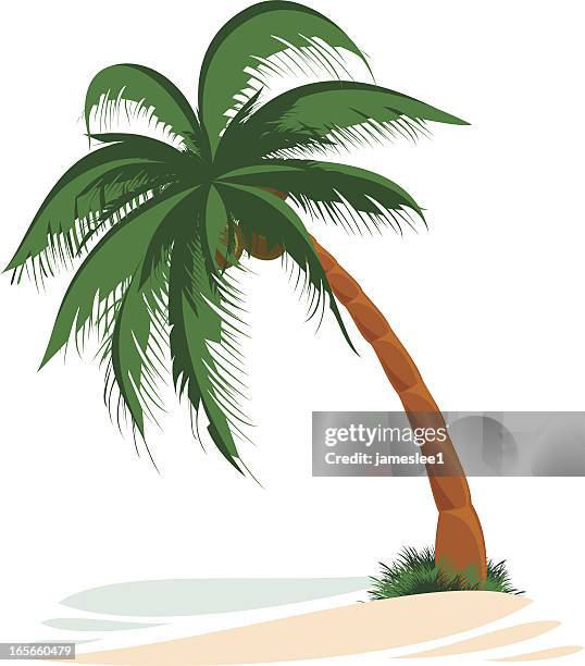 palm tree - desert island stock illustrations