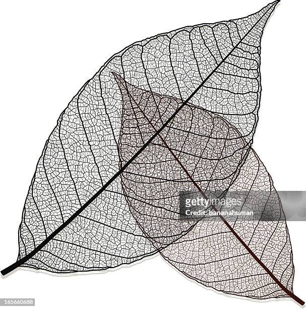 transparent leaf - bookmarker stock illustrations