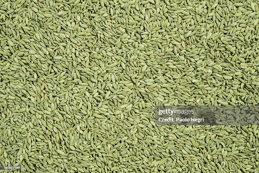 Fennel seeds