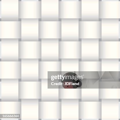 Basket Weave Background Pattern Basket Weave Background Pattern