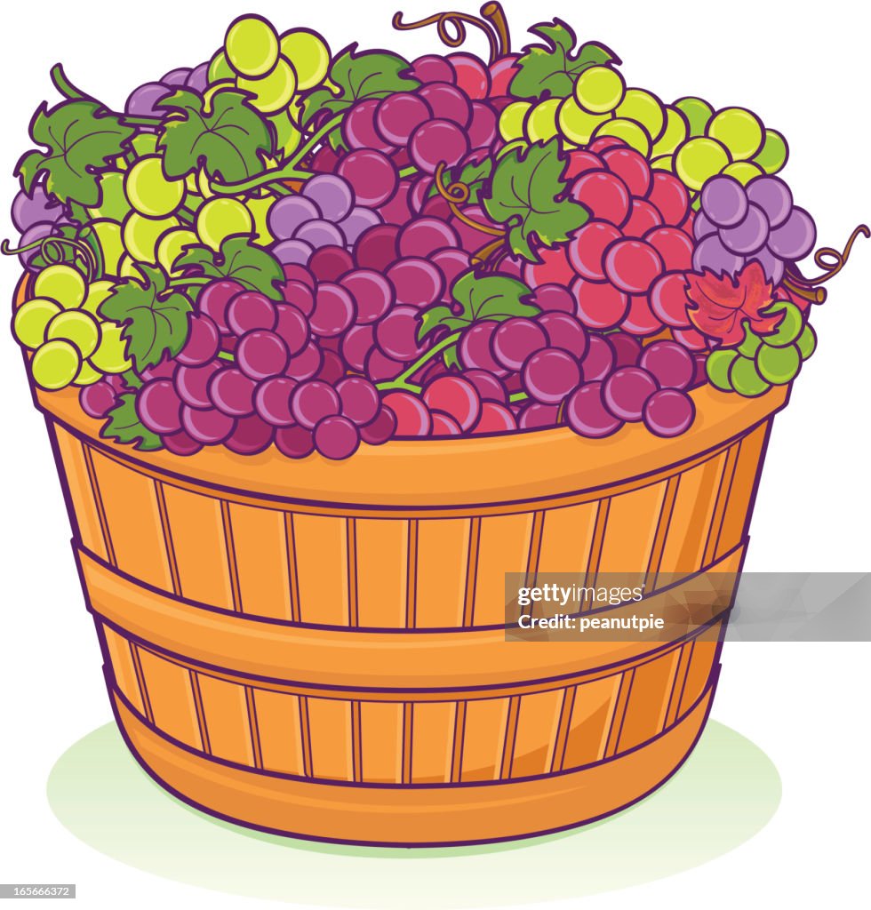Traube Korb