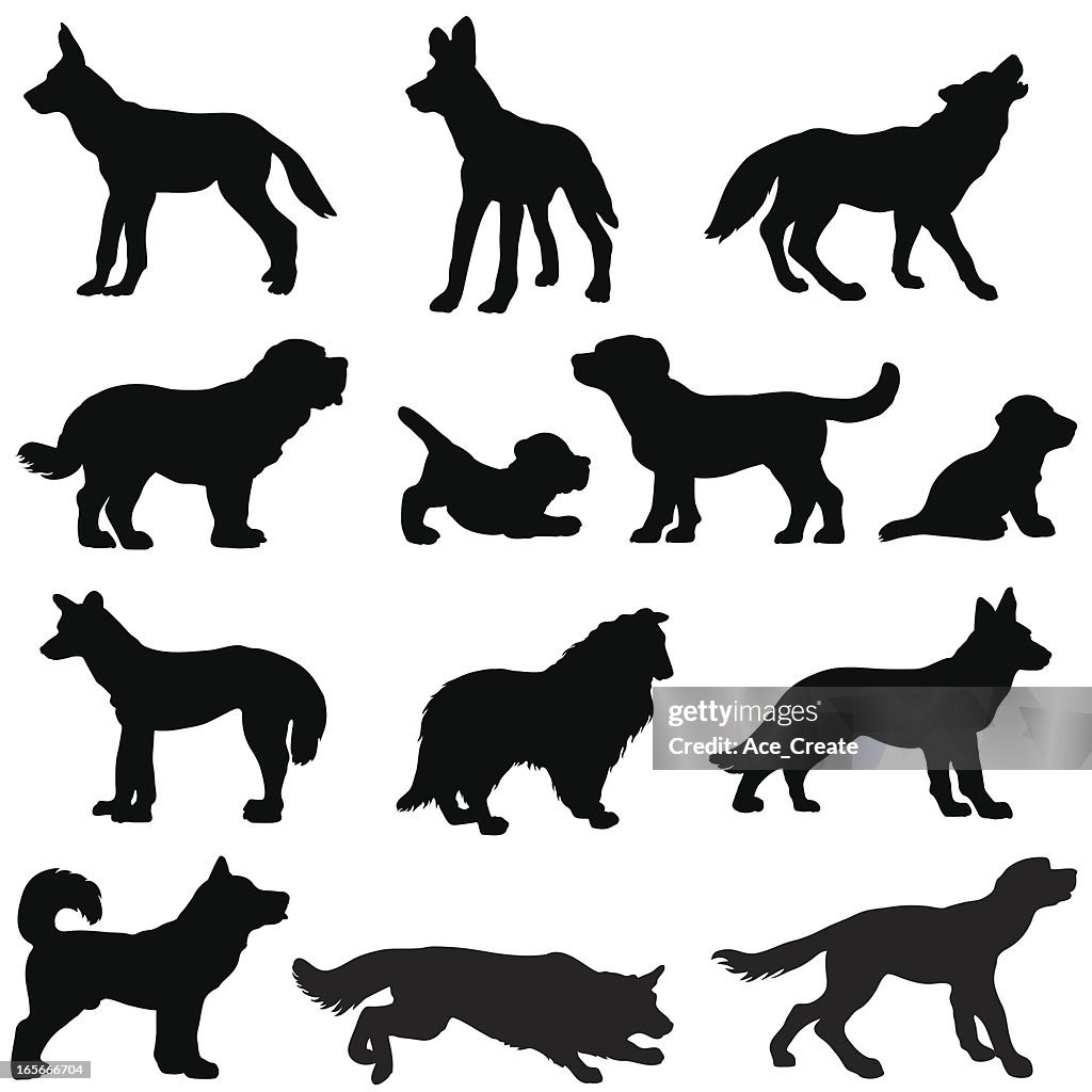 Hund Silhouetten, Arbeits- und wild