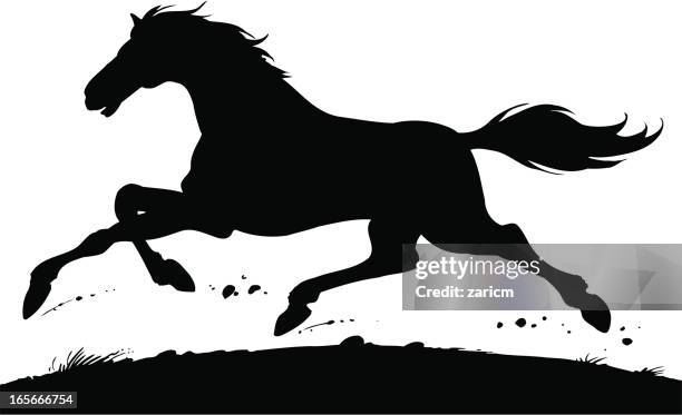 1 1点の馬 走るイラスト素材 Getty Images 1 1点の馬 走るイラスト素材 Getty Images