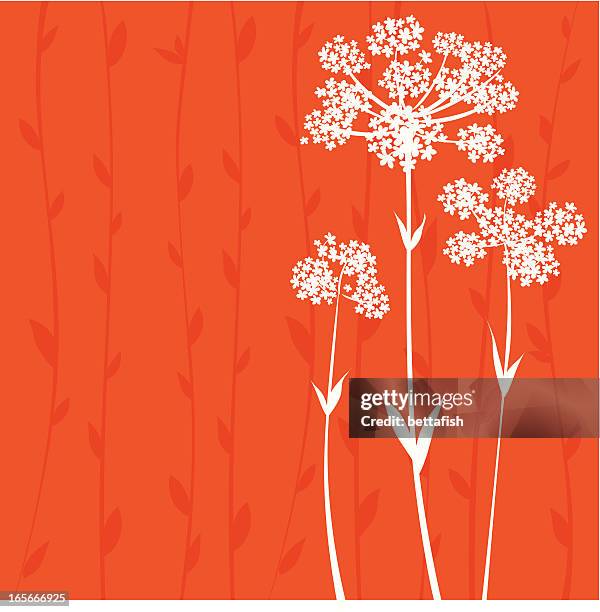 floral hintergrund - anise stock-grafiken, -clipart, -cartoons und -symbole