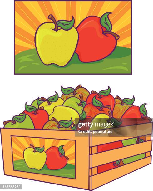 apple crate - golden delicious apple stock illustrations