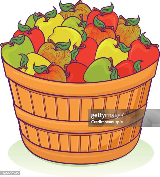 apple baskets - golden delicious apple stock illustrations