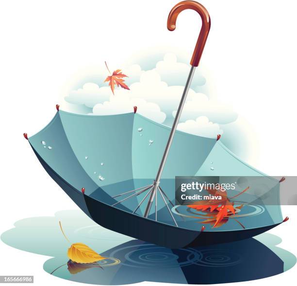 stockillustraties, clipart, cartoons en iconen met umbrella and leaves - umbrella