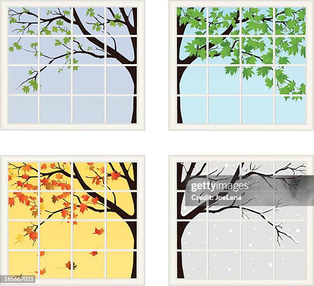 four seasons behind window - four seasons stock illustrations