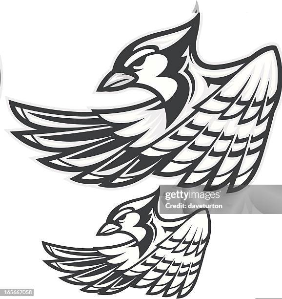 blue jay iii b&w - blue jay flying stock illustrations