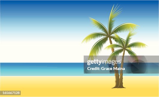 Two palm trees on sunny beach - VECTOR Two palm trees on sunny beach - VECTOR