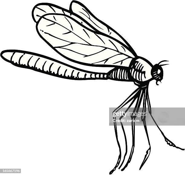 dragonfly - dragonfly stock illustrations