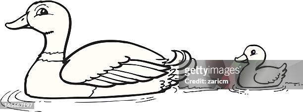 Duck High-Res Vector Graphic - Getty Images
