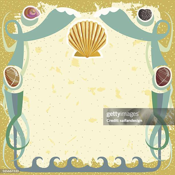 Paua Shell Pattern Vector Paua Shell Vector Photos and Premium High Res Pictures - Getty Images