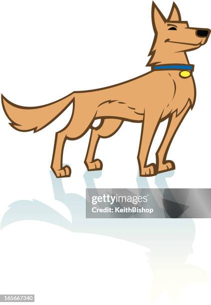 german shepard dog canine domestic pet - german shepherd stock illustrations