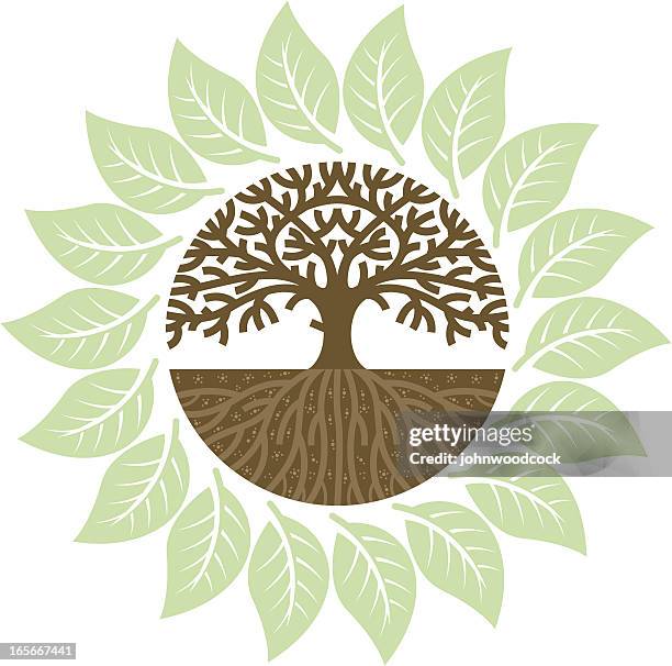 Circle Roots Design 531 Tree Roots Circle Stock Photos, High-Res Pictures, and Images ...