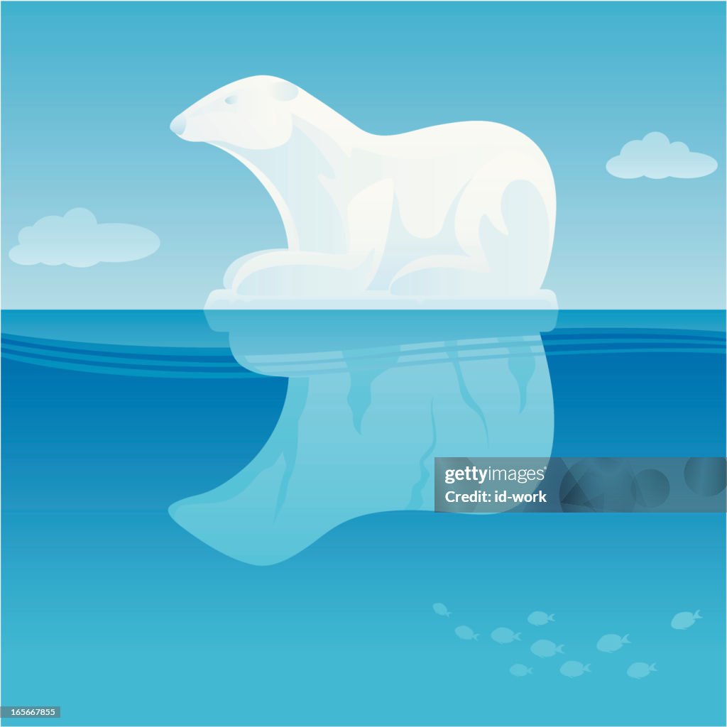 Polar bear iceberg