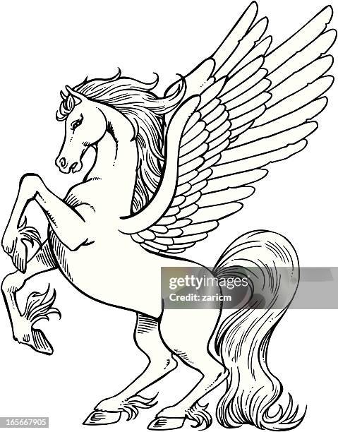 pegasus - pegasus stock illustrations