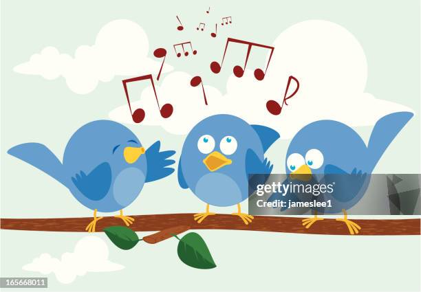 stockillustraties, clipart, cartoons en iconen met birdsong - cartoon blue birds