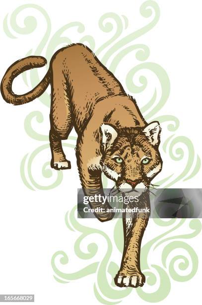 82 Mountain Lion Background Photos and Premium High Res Pictures - Getty Images 82 Mountain Lion Background Photos and Premium High Res Pictures - Getty Images
