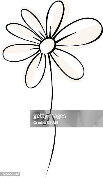 stockillustraties, clipart, cartoons en iconen met vector daisy - black and white flowers