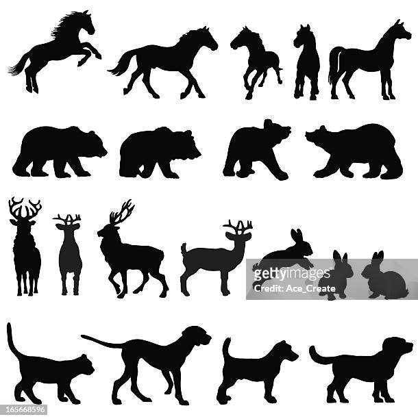 tiere silhouetten landschaft gruppe - bear on white stock-grafiken, -clipart, -cartoons und -symbole