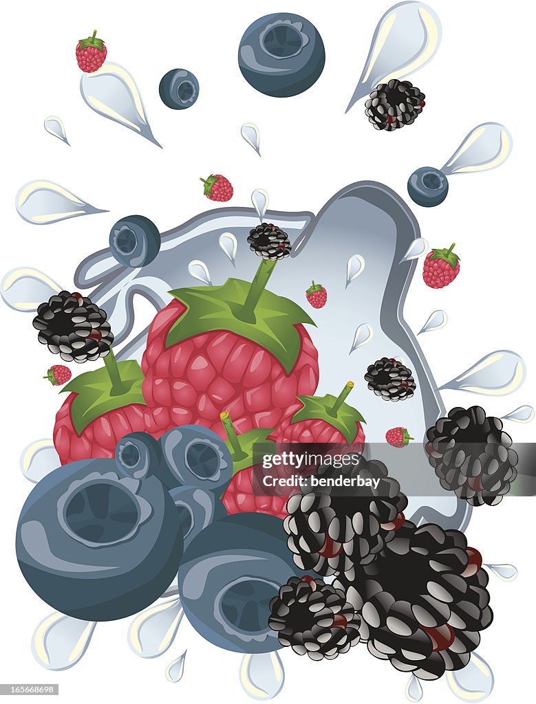 Exploding Blueberries Exploded Berries With Blackberry Raspberry Blueberry High-Res Vector ...