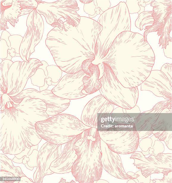 ilustraciones, imágenes clip art, dibujos animados e iconos de stock de patrón sin costuras con orquídeas - orquidea